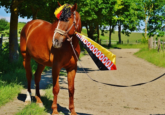 大利丙級聯 大利丙級聯