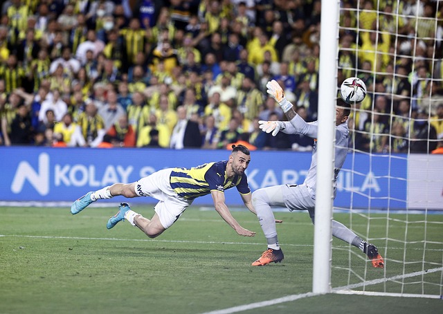 赢得了积分 赢得了积分